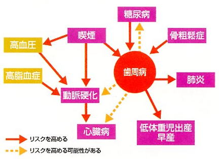 ゴリラ 警視庁 捜査 第 8 班 欠番